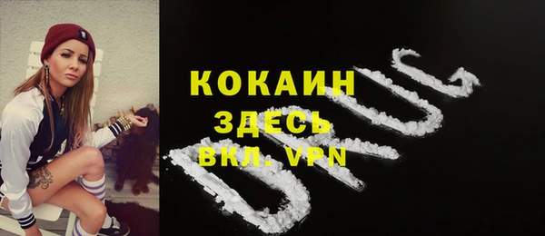 PSILOCYBIN Дмитриев