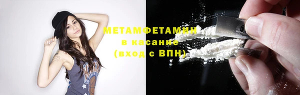 индика Пионерский