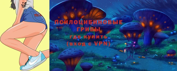 прущие крисы Дмитров