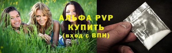 PSILOCYBIN Дмитриев