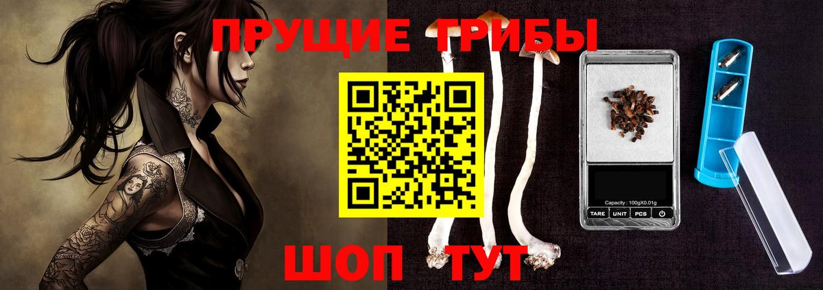 Галлюциногенные грибы Cubensis  Вход с VPN  Псилоцибиновые грибы Psilocybine cubensis  Реж 
